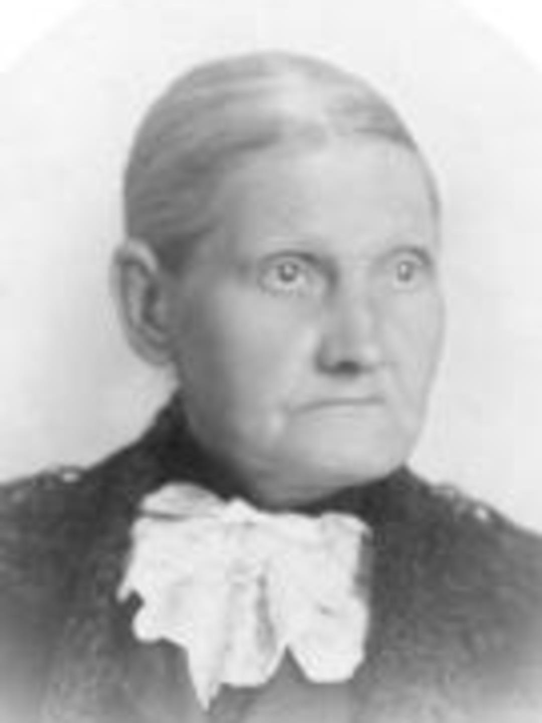 Lucy Gunn Allen (1840 - 1928) Profile